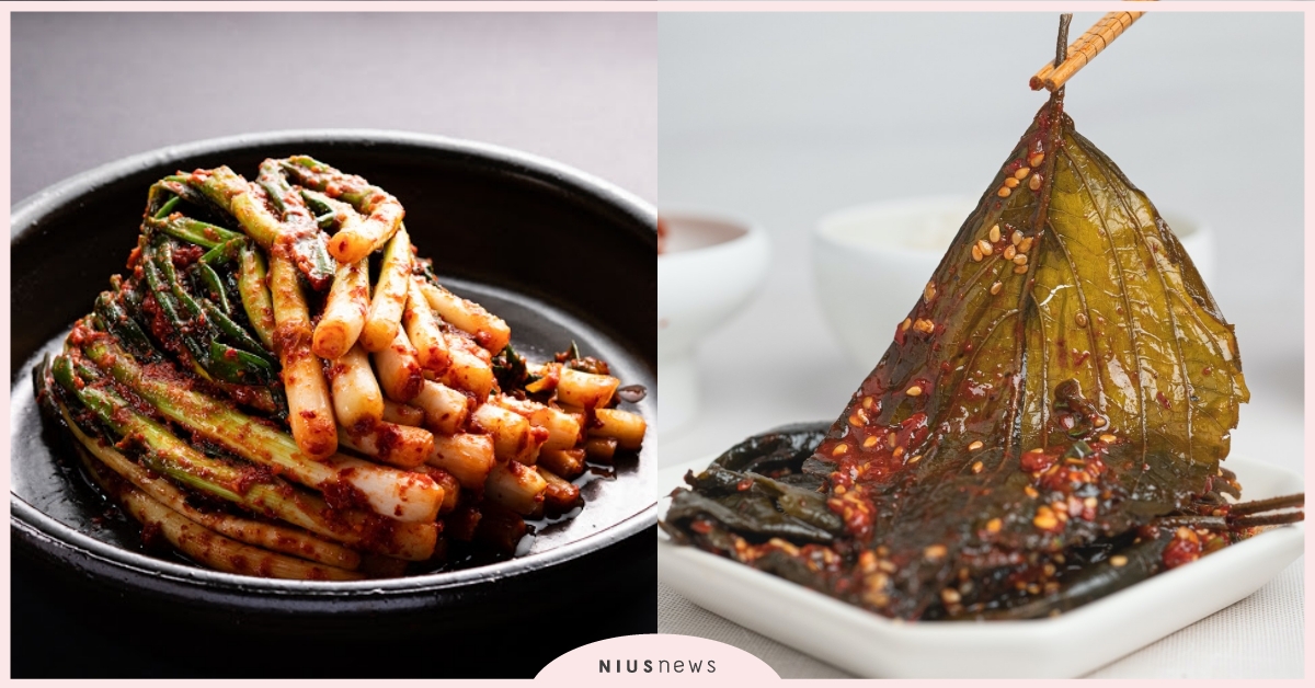 7款韓國泡菜推薦！「白泡菜」和烤貝類最搭，「芝麻葉泡菜」全網熱議話題 韓國、韓國泡菜、泡菜、韓國美食、辣白菜泡菜