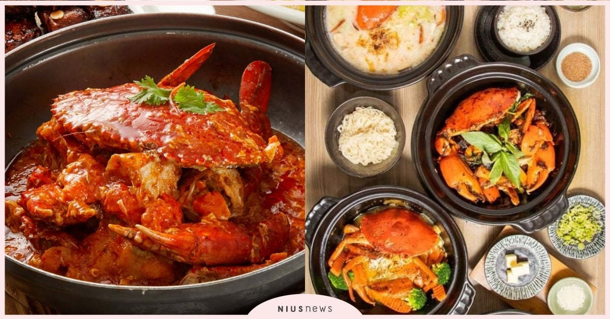 台北7間螃蟹料理推薦！「珍寶海鮮」新加坡辣椒蟹必吃，「十二籃」粥火鍋超正點 台北、台北美食、螃蟹料理、螃蟹、十二籃、川郎、月夜岩、喆園、珍寶海鮮、啊姆啊姆鍋燒麵、六必居