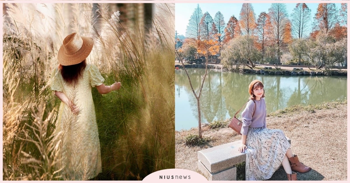 新竹7個秋天必去景點！頭前溪季節限定「芒草田」，關西超美紫色「仙草花海」 新竹、頭前溪、芒草田、新埔、柿子、柿餅、峨眉、東方美人茶、關西、仙草花、仙草茶、北埔、落羽松、竹北、烏魚