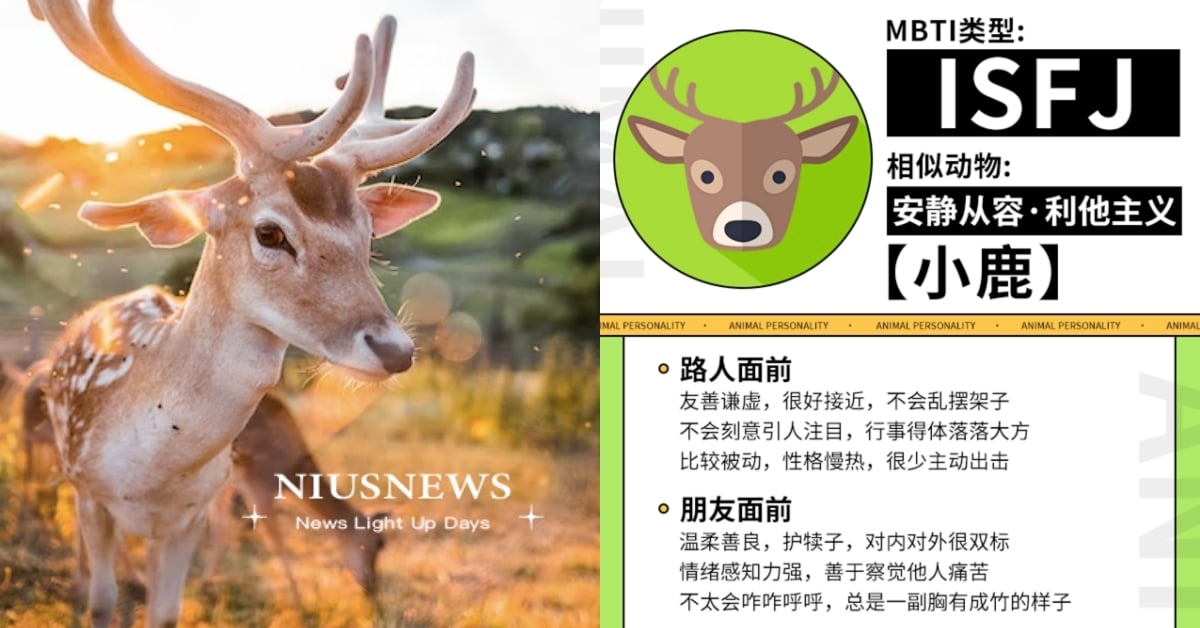 心理測驗「你的MBTI動物人格」？12題測出內心深處的動物，精準解析你的隱藏性格 你的MBTI動物人格、MBTI、寵物圈圈、動物、心理測驗、動物心理測驗、真實性格解析、隱藏性格、個性特質、品種、貓、狗、毛孩、萌寵、可愛動物
