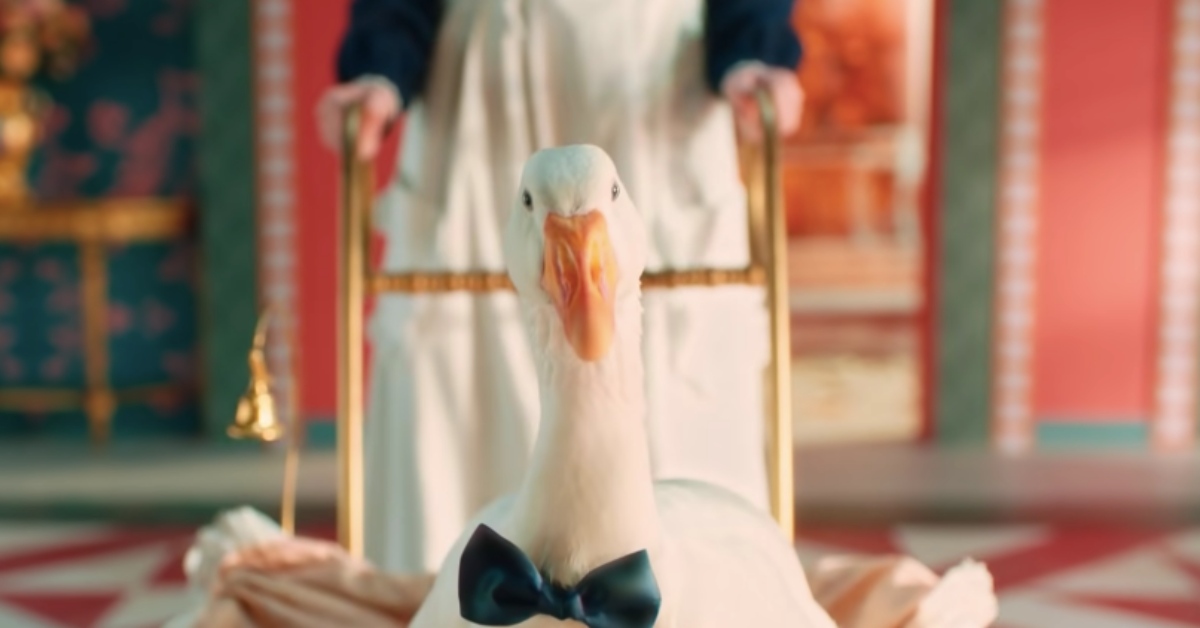 用一場時空穿越，拯救鵝與你的屁屁 舒潔、衛生紙