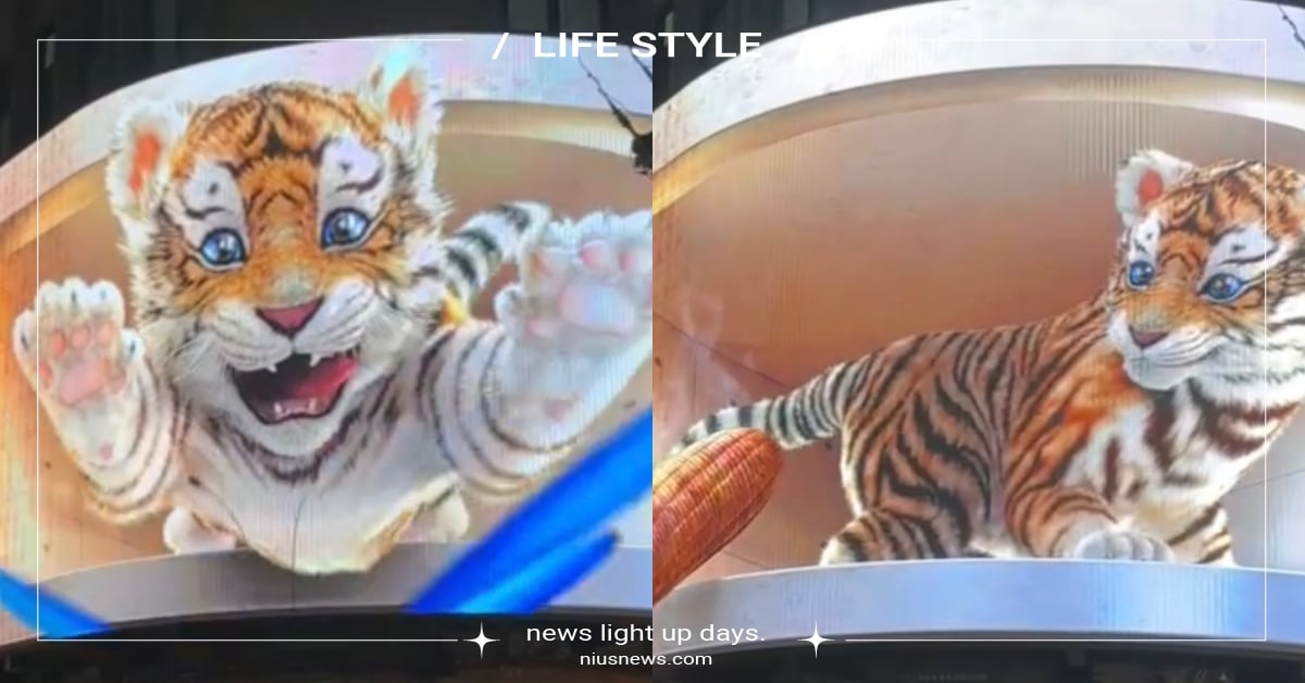 台北士林夜市也有「3D萌虎」！免飛日本新宿就可看，撲蝴蝶＋跳出畫面超可愛！ 台北士林夜市、3D萌虎、3D老虎、白晝之夜、3D廣告、可愛動物、萌寵