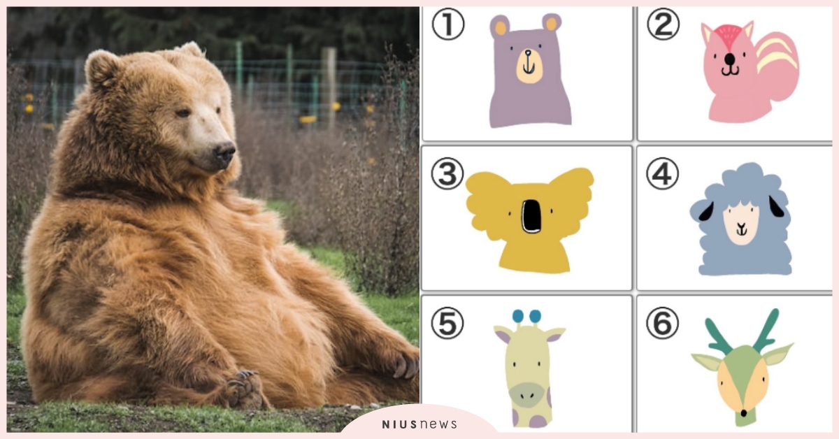 心理測驗「你的群體個性」？選動物頭像測出人群中的你，精準解析你的隱藏特徵！ 群體個性、寵物圈圈、動物、心理測驗、動物心理測驗、真實性格解析、隱藏性格、個性特質、隱藏特徵、可愛動物、毛孩、萌寵