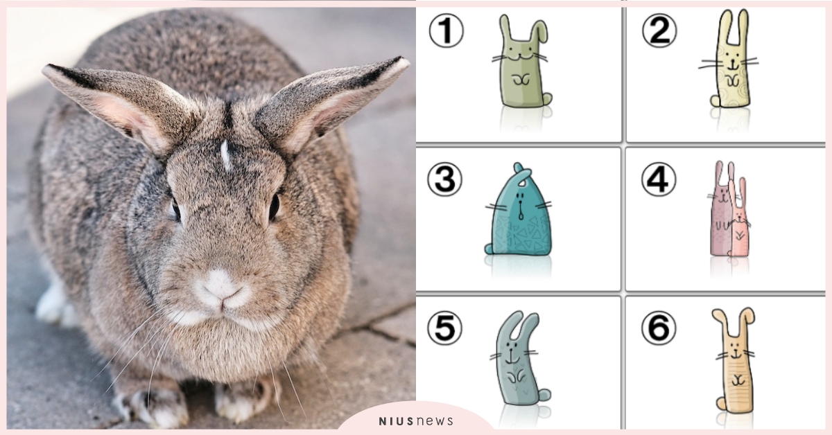 心理測驗「選兔子測花心指數」？憑直覺選出一隻兔子，測出你遇到新鮮事物的反應！ | 花心指數、寵物圈圈、兔子、動物、心理測驗| 寵物圈圈|