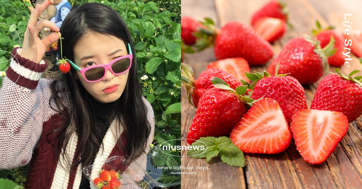 日網心理測驗「挑草莓測幸福指數」！挑一顆看來最好吃的草莓，3秒知道自己現在快樂嗎 日網、心理測驗、日本心理測驗、2022心測、個性心理測驗、性格心理測驗、2022心理測驗推薦、測幸福指數
