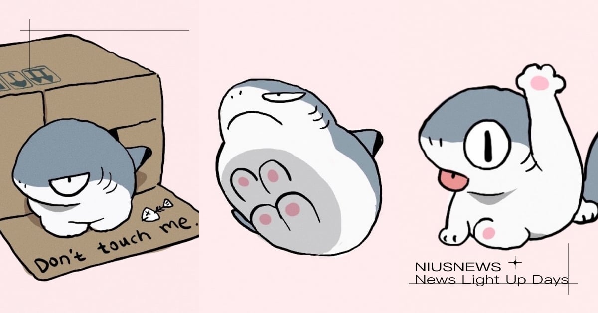 鯊魚變成貓！激萌「鯊鯊貓插畫」傳神描繪喵主子日常，睡紙箱、舔毛行徑全都錄！ sharkitty、鯊貓插畫、yogin幺菁、中國插畫家、貓咪插畫、貓咪、貓奴、鏟屎官、萌寵、可愛動物、可愛、療癒、有趣