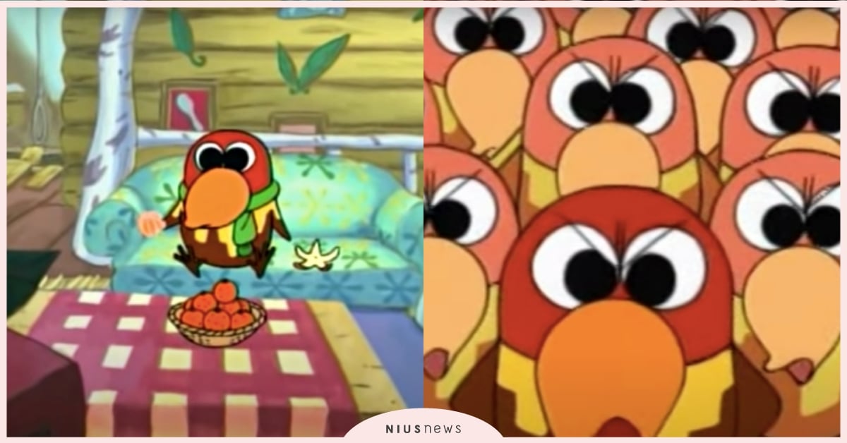 最萌卡通鳥寶！揭秘《大嘴鳥》5個巨嘴鳥冷知識，「超壞人格、只能獨居」由來大公開！ 大嘴鳥、卡通冷知識、巨嘴鳥、動物、萌寵