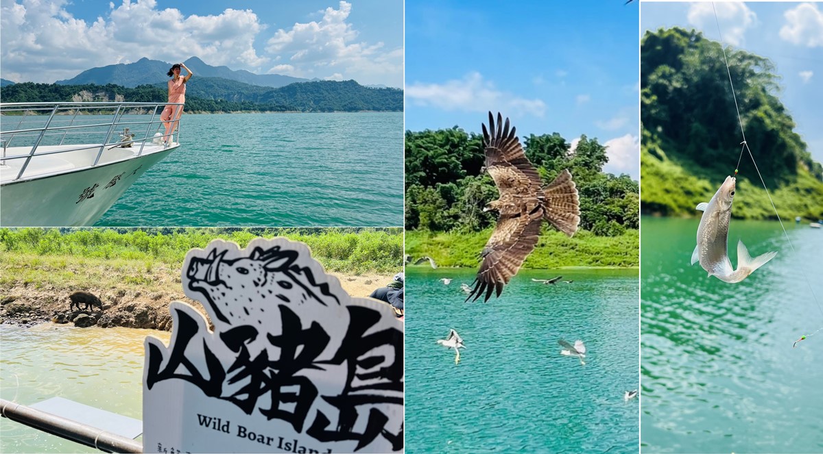 曾文水庫遊湖|Discover實境黑鳶叼食秀|山豬島、湖中釣魚~還想再去玩 曾文水庫游湖、西拉雅風景區、飛鷹峽谷、山豬島