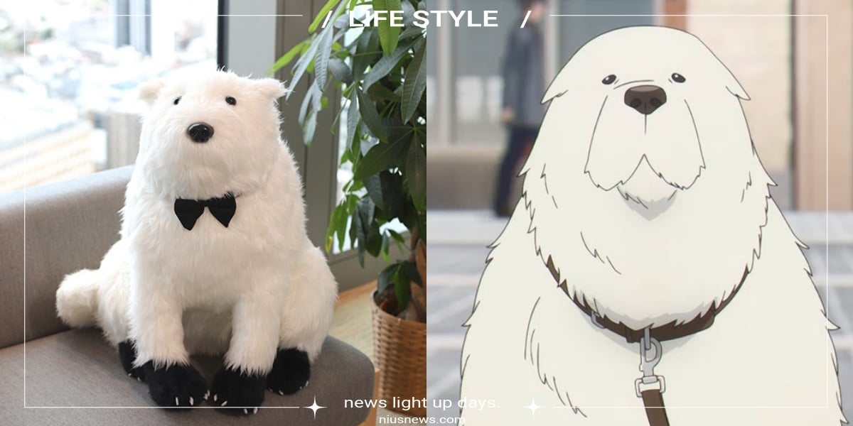 日推《間諜家家酒》狗狗「彭德」巨型絨毛玩偶！價格曝光網傻眼直呼：好不像 動漫、間諜家家酒、SPY×FAMILY、狗、彭德、玩偶、安妮亞、安利美特、Animate、間諜家家酒周邊