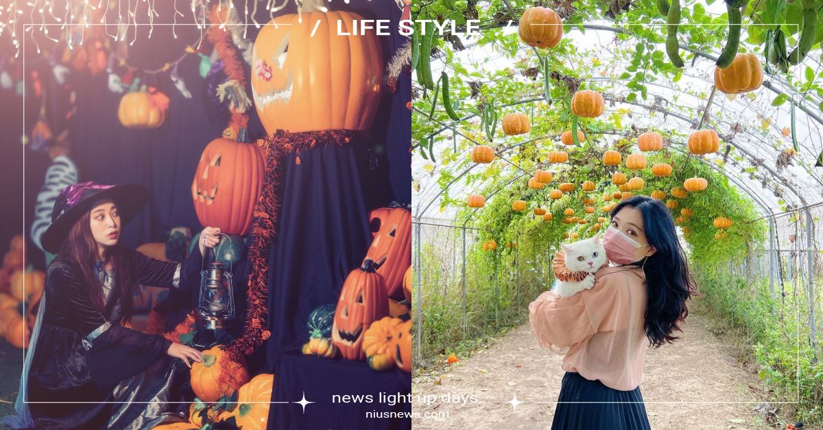 2022「桃園觀音萬聖南瓜節」5大亮點！結合8間農場舉辦，密室鬼屋、南瓜隧道必拍 萬聖節、2022桃園觀音萬聖南瓜節、桃園萬聖城、萬聖鬼屋、南瓜隧道、巨型南瓜、桃園景點、萬聖節景點