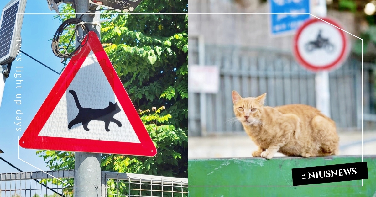 最新賣萌打卡點？多個「貓貓路牌」現身道路街頭，超暖心用意讓貓奴全融化！ 香港貓咪路牌、萌寵、可愛動物、貓咪、生活發現、打卡、景點、寵物趣聞、網友熱議