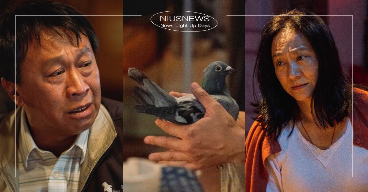 金馬59最佳劇情片《一家子兒咕咕叫》9看點！游安順×楊麗音淒涼孤寂的賽鴿夢 最佳劇情片、一家子兒咕咕叫、國片、台灣電影、金馬獎、金馬59、金馬影展、游安順、楊麗音、詹京霖、賽鴿、043、胡智強、李夢苡樺