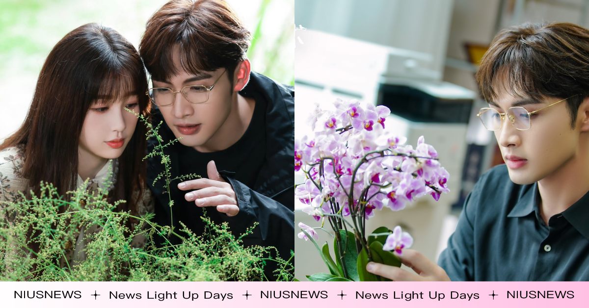 日網心理測驗「選出想種的奇幻植物」測你的致富關鍵！年末有可能升官發財嗎？ 心理測驗、理財、致富、金錢觀、金錢、運氣