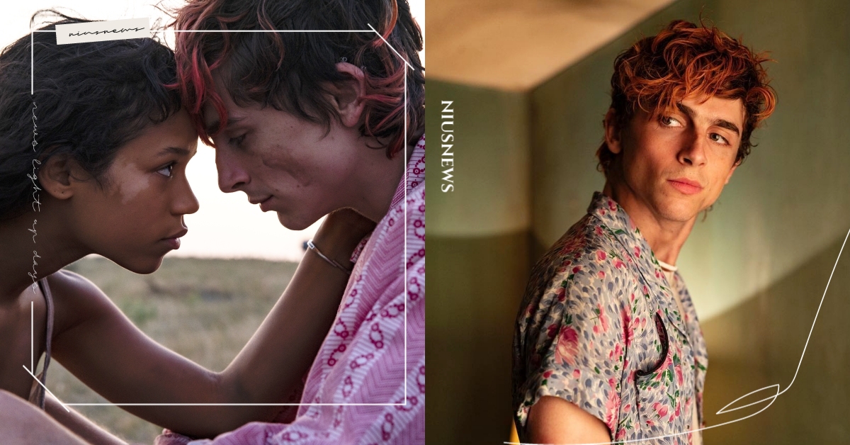 驚悚浪漫電影《骨肉的總和》6看點！「甜茶」生吃人肉、食人魔群聚，展開噬血公路旅行 骨肉的總和、甜茶、提摩西夏勒梅、電影看點、泰勒羅素