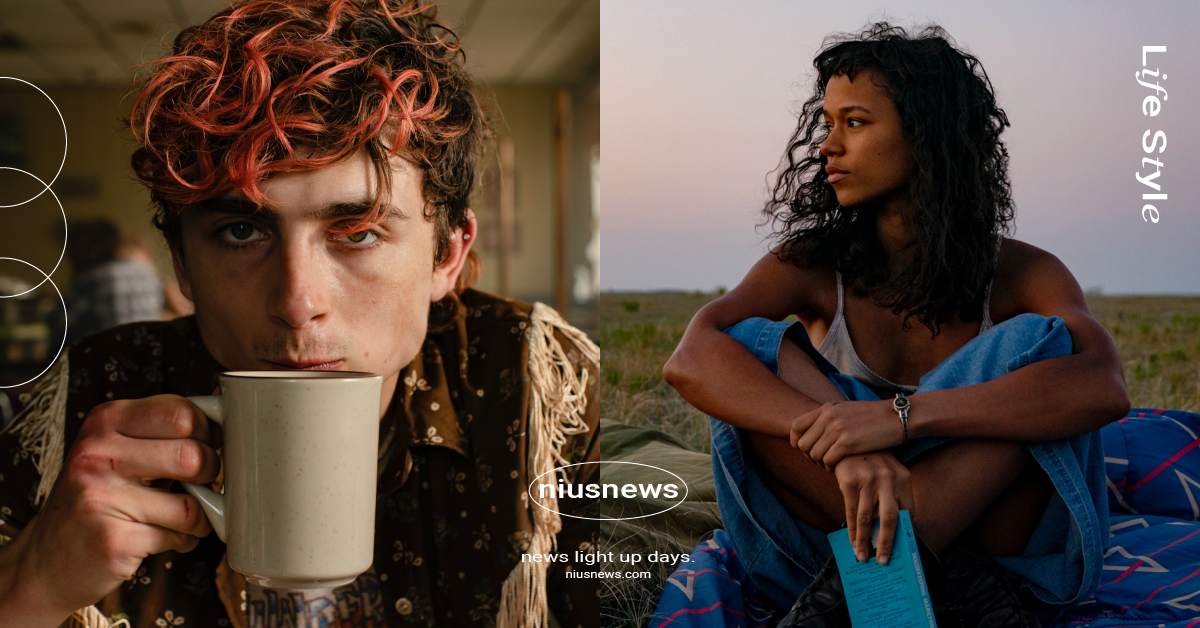 電影《骨肉的總和》10個幕後故事！「甜茶」選角原因曝光、「食人肉」的主題起源？ 電影、骨肉的總和、Bones and All、幕後故事、泰勒·羅素、Taylor Russell、提摩西·夏勒梅、Timothée Chalamet、盧卡·格達戈尼諾、Luca Guadagnino