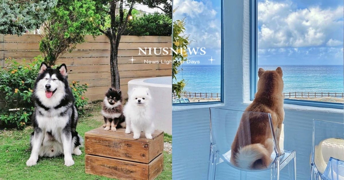屏東8間「寵物友善住宿」推薦！無敵海景房、歐風小庭院，還有大草皮可以跑跳！ 2022最新、屏東寵物友善住宿、寵物友善景點、寵物友善民宿、寵物出去玩