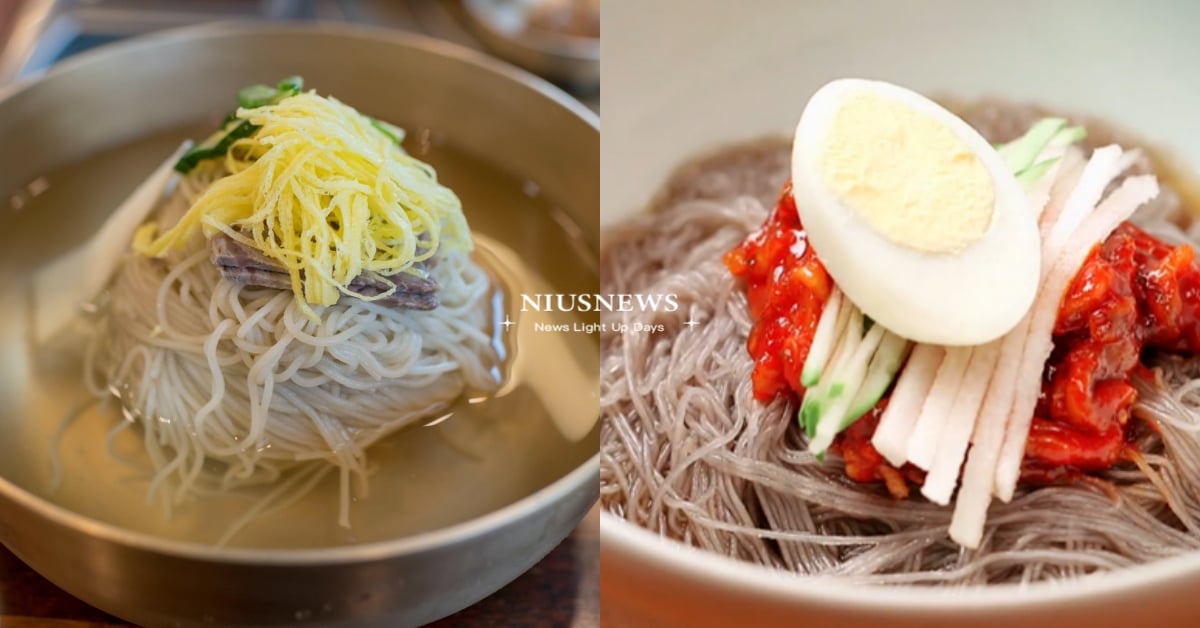 5款韓國冷麵推薦！「平壤冷麵」濃郁牛肉湯頭＋蕎麥麵體，釜山「小麥冷麵」必吃！ 韓國、韓國美食、韓國美食推薦、韓國料理、韓國冷麵