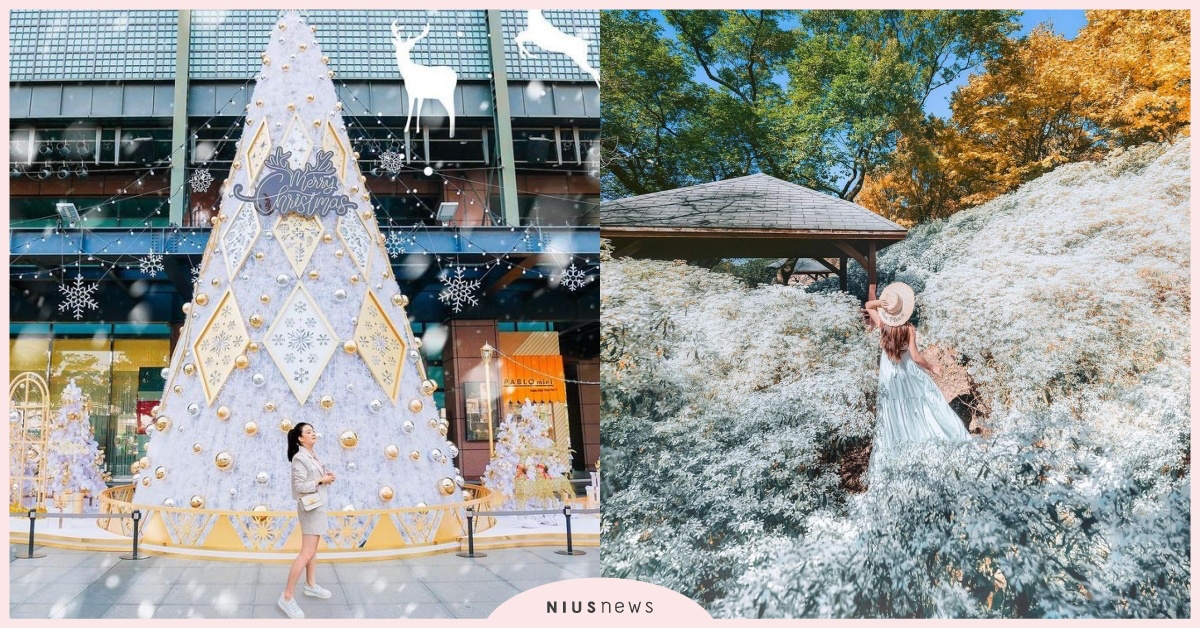 2022台中年末必去7景點！耶誕嘉年華12/16登場，「台中歌劇院」嬌兔三窟必拍 台中、台中景點、台中聖誕樹、台中耶誕嘉年華、臺中國家歌劇院、新光三越台中中港店、沐心泉休閒農場、中友百貨、臺中驛鐵道文化園區、瓦庫燒肉