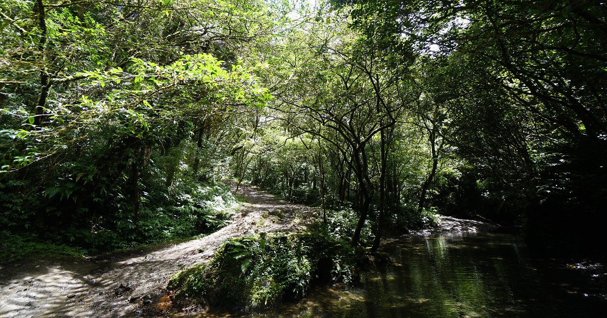坪溪古道｜淡蘭古道中路秘境，步行5分就能玩水！ 坪溪古道、坪溪古道入口、坪溪古道開車、坪溪古道大眾運輸、坪溪古道露營