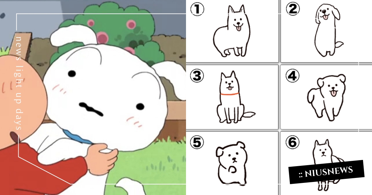 心理測驗「你的隱藏性格」？憑直覺選一隻可愛狗狗，測出精準描述你真實個性的句子！ 寵物圈圈、動物、心理測驗、動物心理測驗、狗