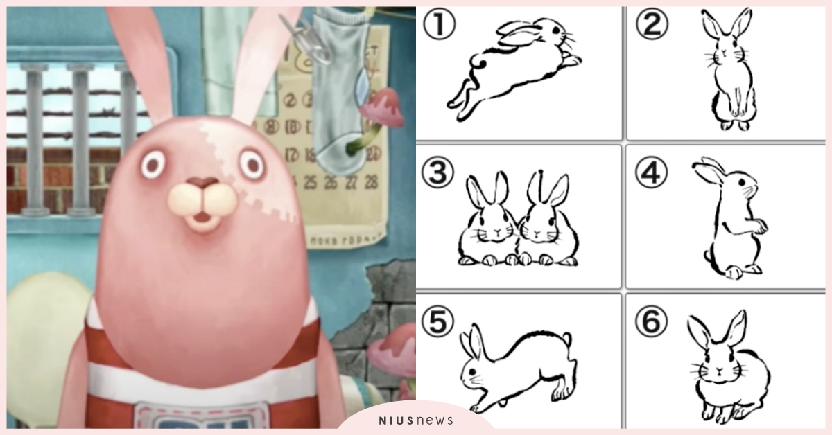 心理測驗「你的新年運勢」？憑直覺選一隻可愛兔兔，測出新年初夢象徵物＋隱藏性格！ 寵物圈圈、動物、心理測驗、動物心理測驗、兔、新年運勢、初夢、真實性格解析、隱藏性格、象徵、個性特質、可愛動物、毛孩、萌寵