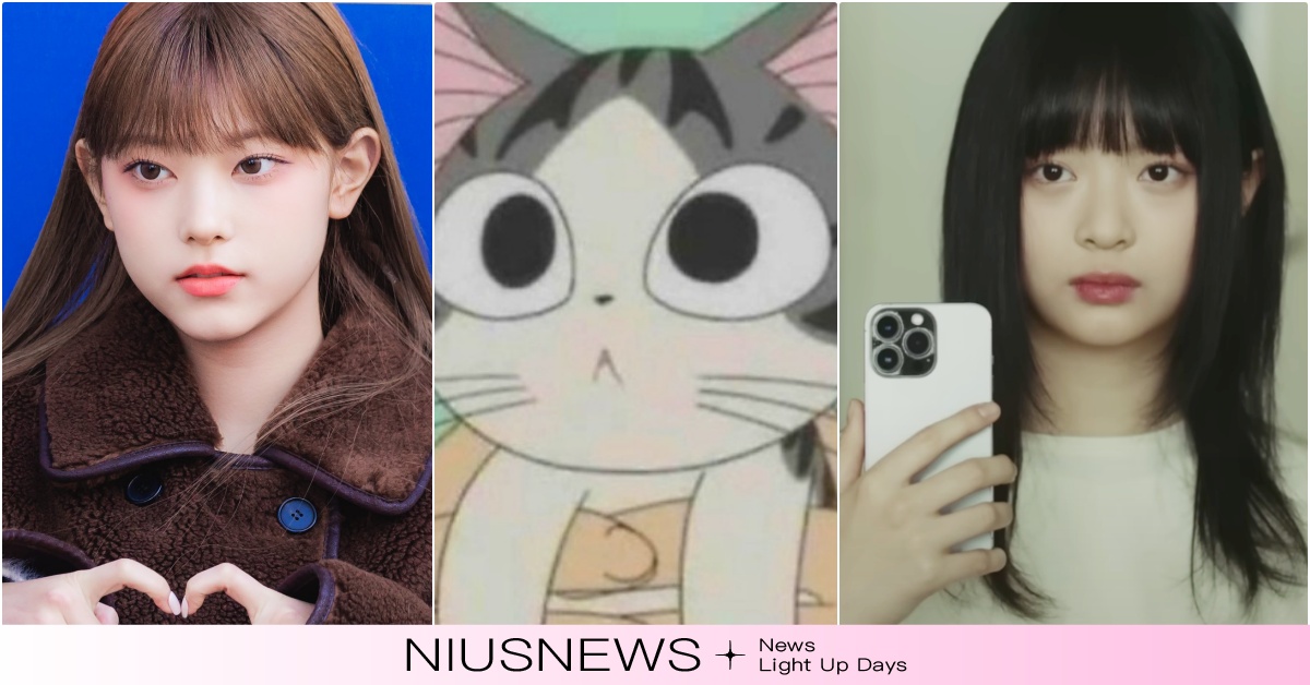 韓團NewJeans「人間小貓咪」傳奇照爆紅！Hanni撞臉的動物？網神回：手機 韓團貓咪相、NewJeans、NewJeans回歸、NewJeans韓團、NewJeans出道