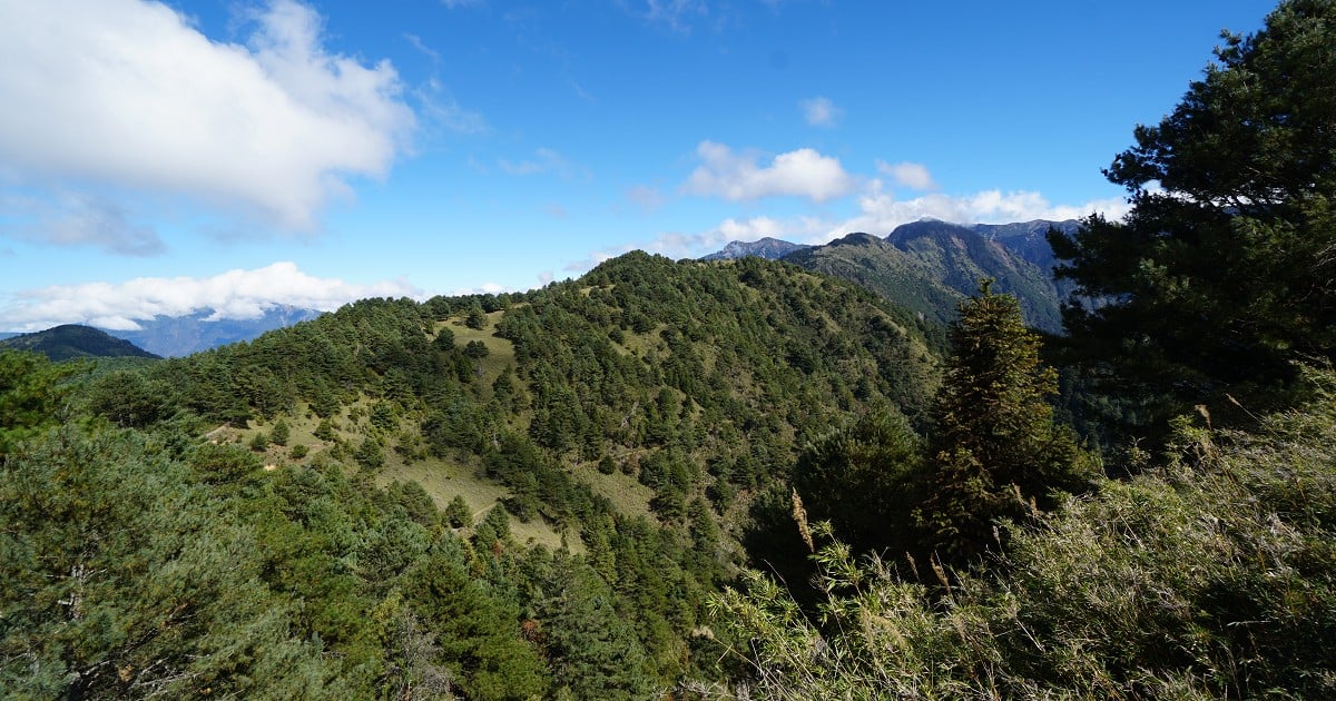 麟趾山｜海拔高度、路線難度，30分鐘登頂眺望玉山群峰 麟趾山、麟趾山海拔、麟趾山難度、麟趾山登山口、麟趾山路線