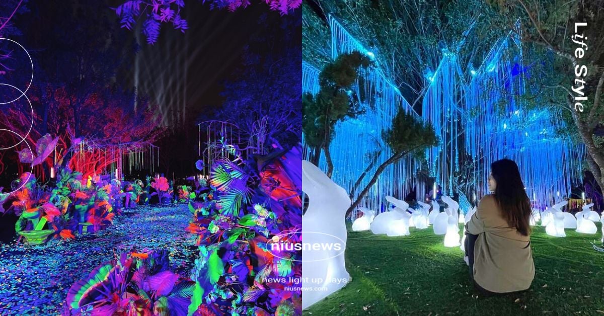 2023「中台灣元宵燈會」6大亮點！打造水上主燈色彩光束秀，魔盒世界絕美景色必拍 2023中臺灣元宵燈會、大玩台中、臺中觀光旅遊局、 臺中中央公園taichung Central Park、HAPPY 兔