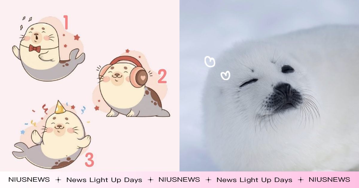 塔羅占卜「情人節前有機會被告白嗎」？挑一隻海豹測出曖昧對象內心想法！ 情人節、告白、曖昧、Tarot、塔羅