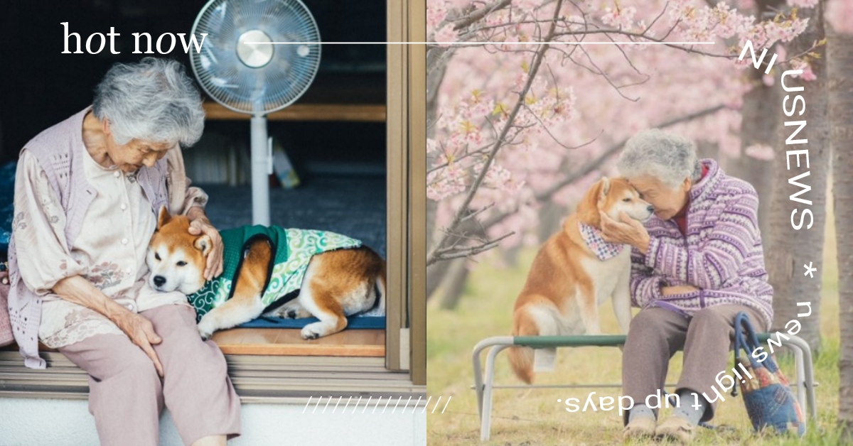阿嬤養的柴犬！日本攝影師最愛拍「阿嬤疼汪孫」寫真，彎下老腰只為愛的抱抱！ 祖母、yasuto8888、阿嬤、奶奶、柴犬、祖母グラフィー、推特熱議、攝影、寫真、照片、日常、療癒、狗、可愛動物、寵物、萌寵