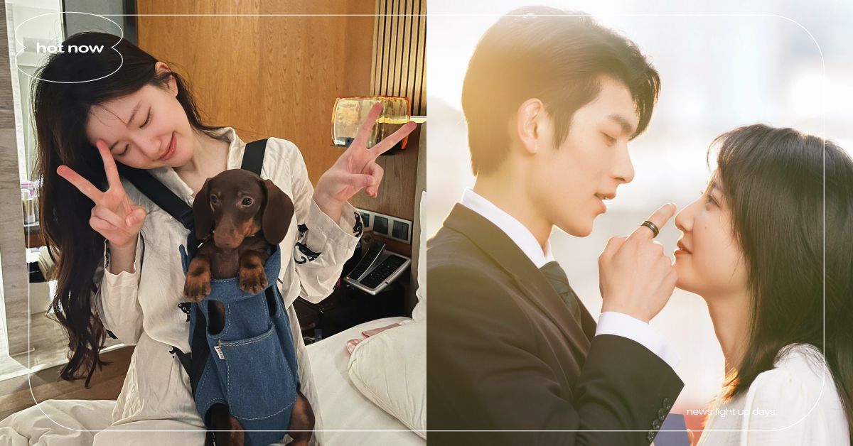 情人節「戀愛動物圖鑑」心理測驗！全方位剖析你的愛情習性，你是膽大羊駝還是溫柔狗狗 情人節、戀愛動物圖鑑、心理測驗、戀情、戀愛腦、momo購物網、戀愛習性、桃花運、談戀愛