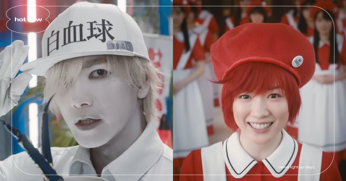 《工作細胞》真人版電影預告釋出！佐藤健變身面癱白血球，女主「紅血球」官宣是她！ 日本、動漫、動畫、漫畫、工作細胞、真人化、寫實化、佐藤健、永野芽郁、白血球、紅血球