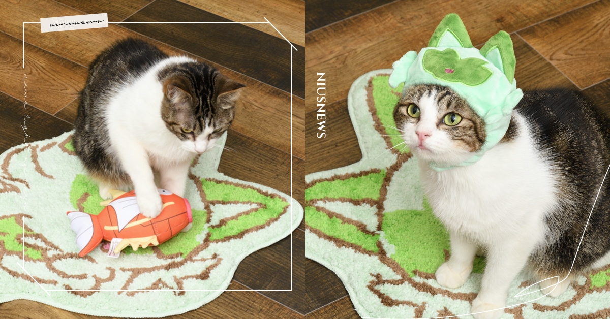 2/22貓之日！寶可夢推出8款「新葉喵貓咪小物」，寵物帽、鯉魚王玩具貓奴必收！ 新葉喵貓咪小物、日本貓之日、精靈寶可夢、寵物選品、日本寶可夢中心