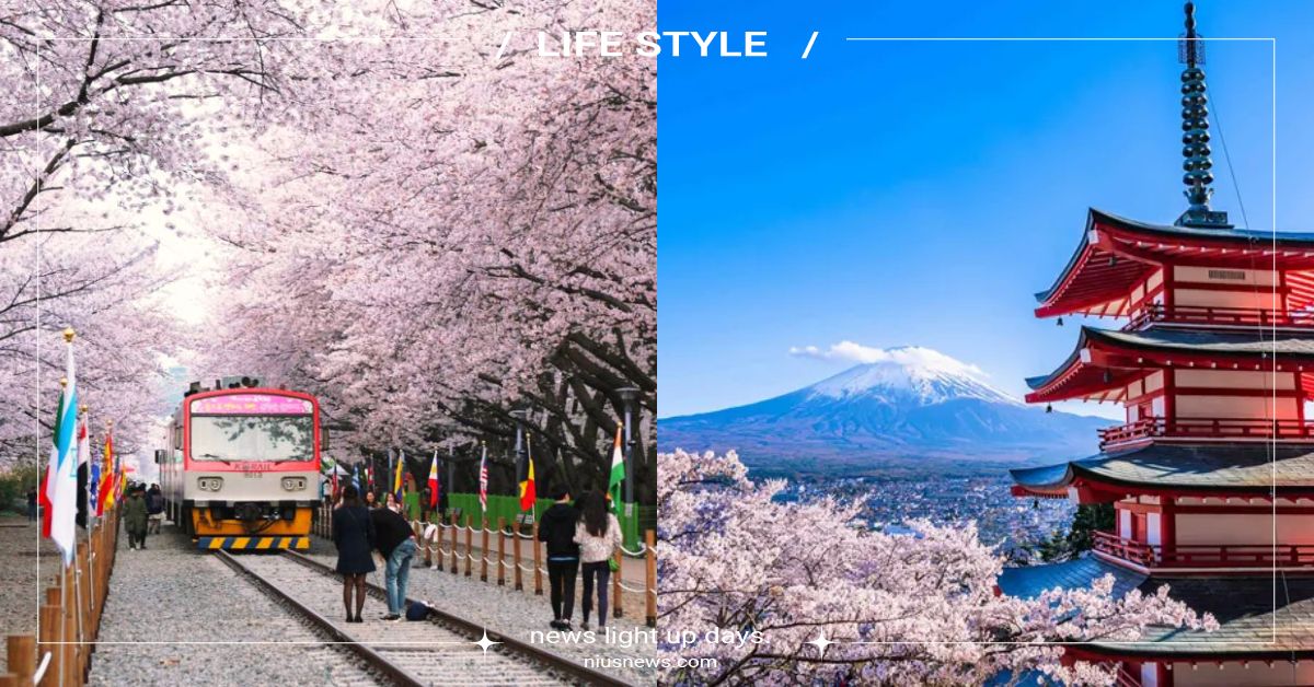 10大「日韓賞櫻」行程！「新倉淺間神社」朝聖富士山、韓國「鎮海軍港節」不容錯過 櫻花、日韓賞櫻、海外賞櫻、日本、韓國、日本櫻花、韓國櫻花、櫻花季