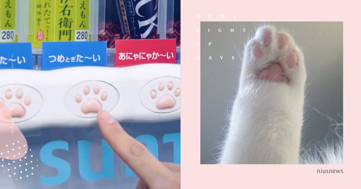 東京一日限定「貓肉球版販賣機」萌爆！日本貓之日創意點子，JR車站貓貓大量出現？ 貓之日、貓肉球販賣機、SUNTORY、サントリー、肉球自販機、猫の日、台場、JR東日本