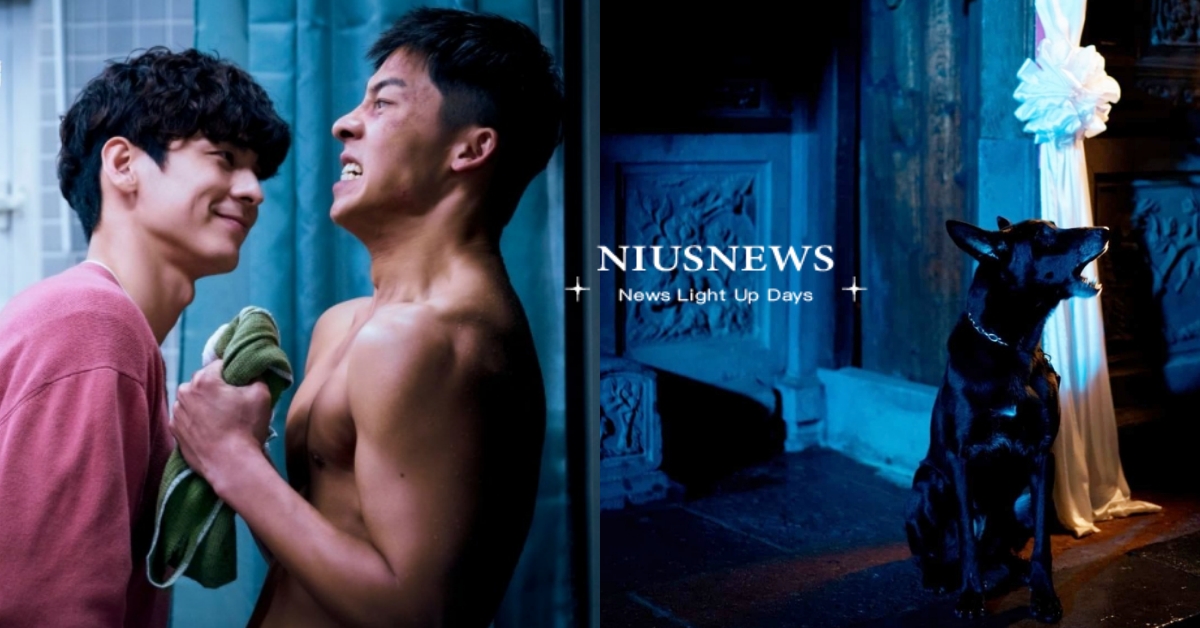 《鬼家人》開拍前徵選狗演員「要會吹高雷」！網友神回「找二哈放垃圾車音樂」被讚翻 關於我和鬼變成家人的那件事、鬼家人、徵選狗演員、歐告、吹狗螺、寵物新聞、推特熱議、萌寵、可愛動物、國片、喜劇、台灣電影、冥婚、BL