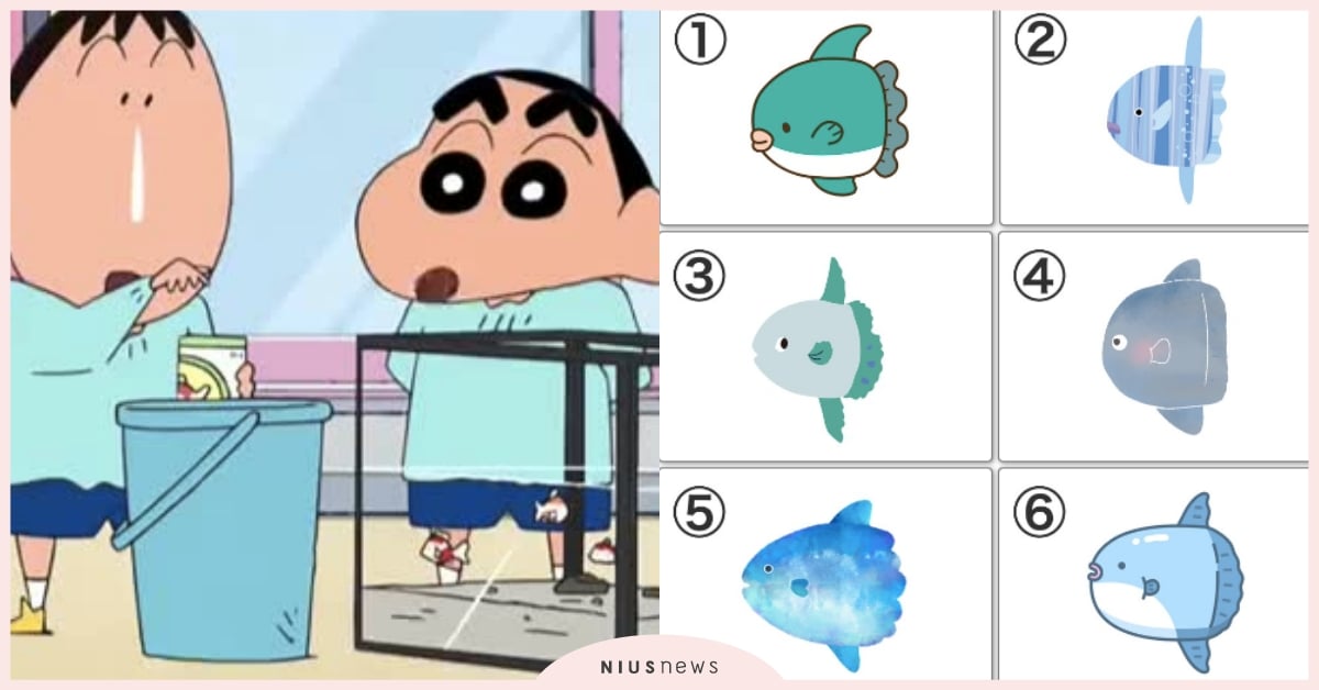 心理測驗「你心中的電池電量」？憑直覺選一隻翻車魚，測出你內心世界的壓力有多大！ 寵物圈圈、動物、心理測驗、動物心理測驗、翻車魚、心理壓力、電池電量、內心世界、真實性格解析、隱藏性格、個性特質、可愛動物、毛孩、萌寵