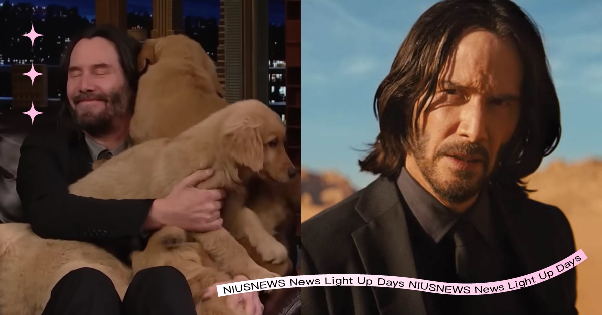 我是小狗王！基努李維上節目被小黃金淹沒，喜歡John Wick勝過《駭客任務》！ 基努李維、捍衛任務、捍衛任務4、吉米法隆、John Wick