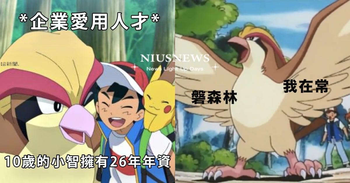 小智退休了！《寶可夢》開播26年經典迷因盤點「比雕被渣、皮卡丘表情包」超爆笑！ 寶可夢、神奇寶貝、比雕、比比鳥、小智、皮卡丘、迷因梗圖、有趣、網友熱議、卡通、童年回憶