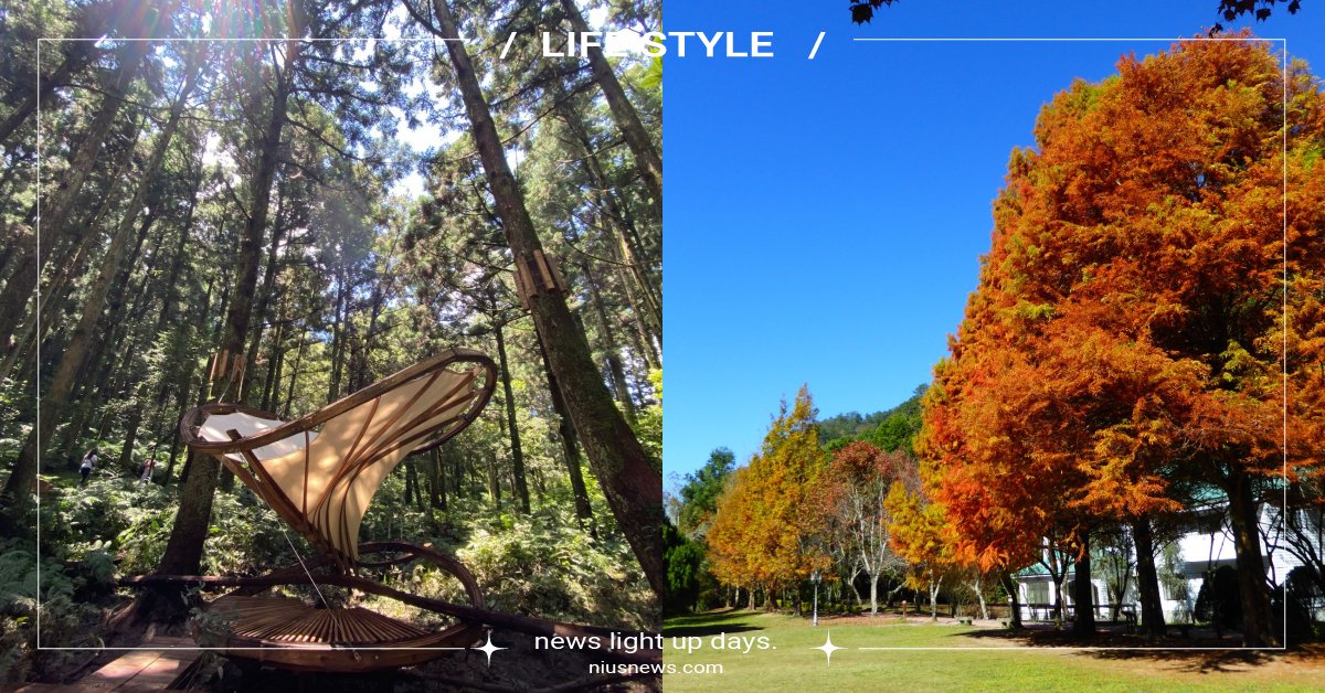 MBTI人格測驗找出命定森林！INTJ適合墾丁珊瑚礁、ESTJ必訪阿里山療癒步道 農委會林務局、MBTI、林務局國家森林遊樂區、兒童節、清明連假、MBTI、分析家、外交家、守護者、探險家