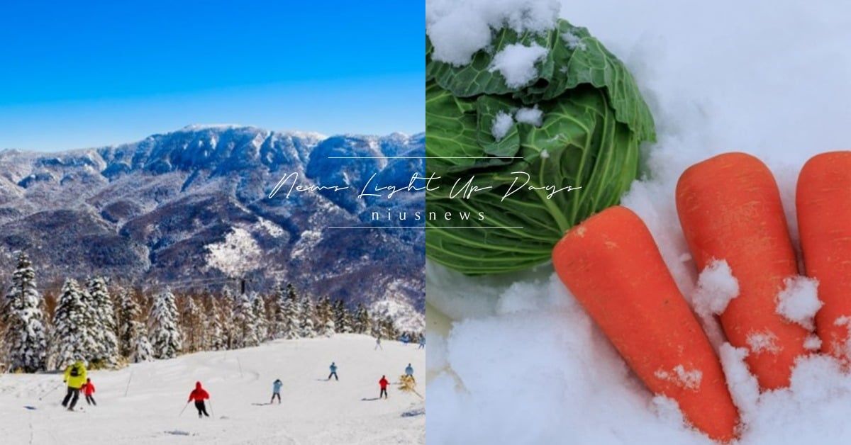你不知道的5個「日本長野縣」旅遊冷知識！蔬菜會放在雪裡冬眠？最長壽的縣？ 長野、長野小知識、長野旅遊、長野文化、長野美食、日本中部、日本文化