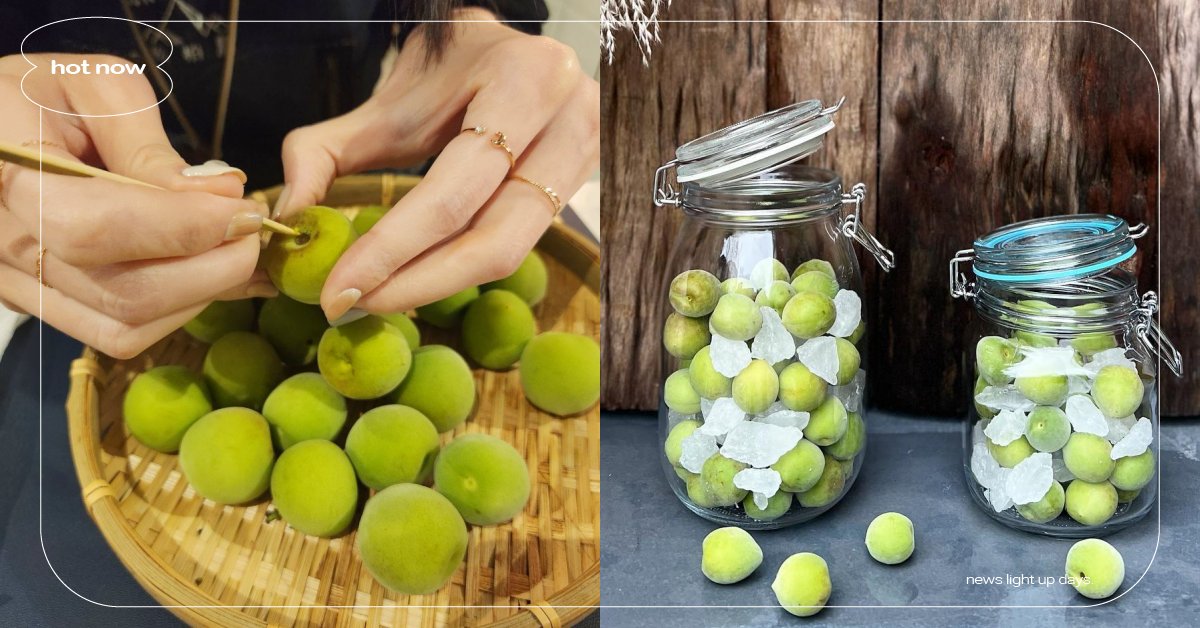 酸甜梅酒季來襲！5步驟「自釀梅酒」教學懶人包，準備好青梅、玻璃罐就能輕鬆製作 梅子酒、梅子季、梅酒、酒譜、Pinkoi、課程、體驗、線上課程、實體實作、自釀梅酒DIY、Sonbérnor 松柏農、水果酒、蘭姆酒、威士忌、琴酒、伏特加、高梁酒、白蘭地