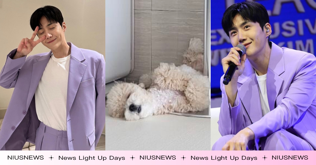 金宣虎見粉絲害羞告白有了「家庭新成員」！示範抱抱＋曝光名字萌翻全網：真的愛好深！ 金宣虎、見面會、金宣虎代言、海岸村恰恰恰、洪班長、韓志平