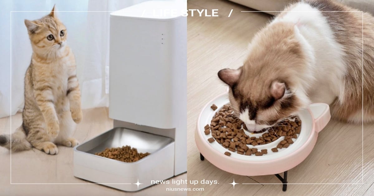 貓咪吃太快怎麼辦？5大「預防貓咪嘔吐的妙招」一次看，用這個方法快速評估毛孩狀況 貓咪吃太快、預防貓咪嘔吐、嘔吐物、寵物新聞、寵物知識