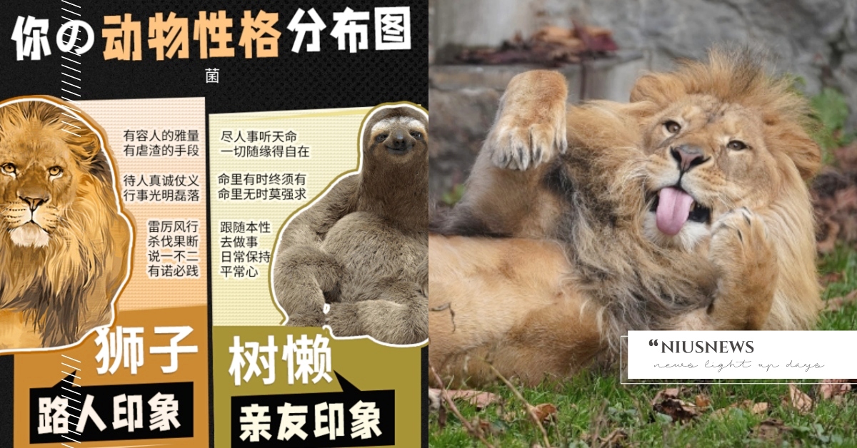 心理測驗「你的動物性格分布圖」？測出最能代表你的4種動物，12句話道出隱藏性格！ 你的動物性格分布圖、寵物圈圈、動物、心理測驗、動物心理測驗、真實性格解析、隱藏性格、個性特質、萌寵、可愛動物