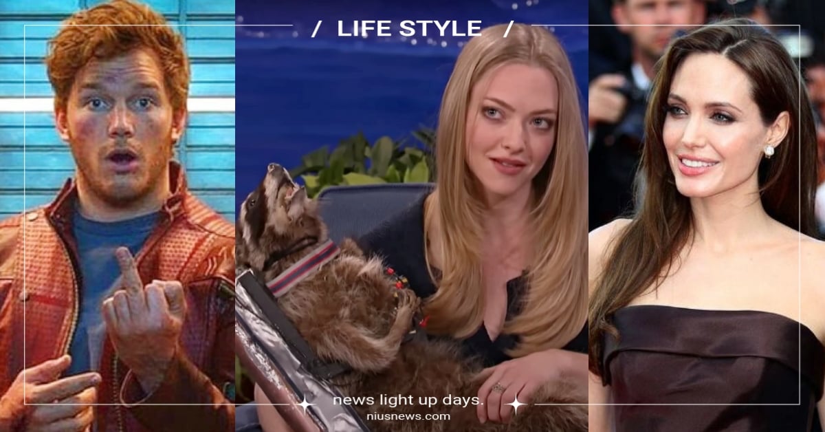 裘莉搜集匕首？星爵是蟲蟲控？亞曼達愛動物標本原因太驚悚！7位好萊塢巨星的特殊收藏 獵奇收藏癖、克里斯普瑞特、Chris Pratt、安潔莉娜裘莉、Angelina Jolie