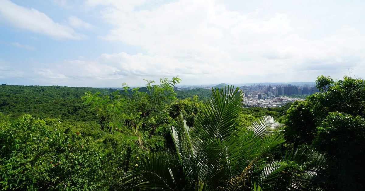 柴山步道｜北柴山20分登高賞景，停車入口、路線長度資訊 柴山步道、北柴山、柴山步道入口、柴山步道路線、柴山步道長度