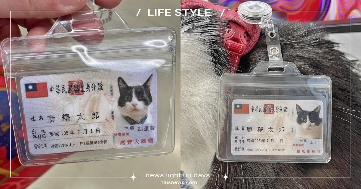 爆紅「寵物身分證悠遊卡」這裡訂做！稱號、發證日藏亮點，性別是缺蛋蛋超可愛！ 寵物身分證悠遊卡、一卡通、iCash、毛孩、貓奴人森、FB熱議、寵物選品、可愛動物、貓奴、鏟屎官、療癒、有趣、居家生活小物、通勤