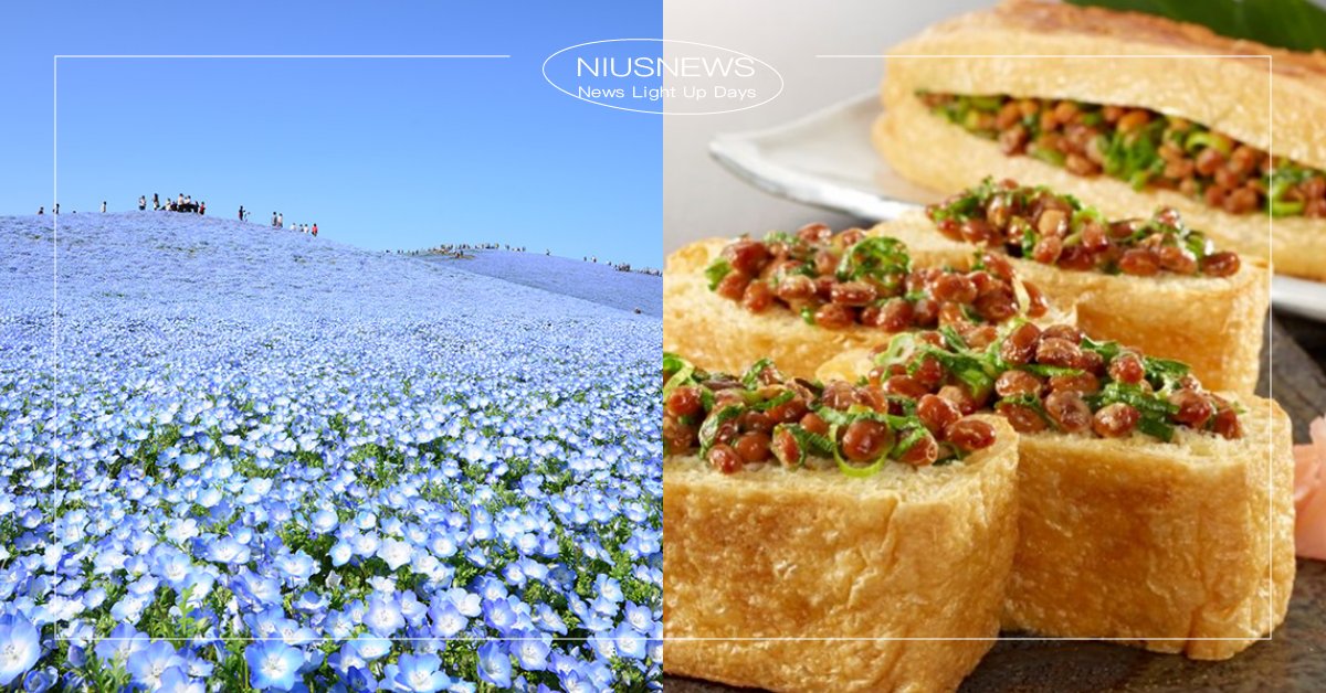 5個東京近郊「茨城縣」旅遊冷知識！不良少年超多？納豆拉麵、納豆歐姆蛋通通有？ 日本、關東、茨城縣