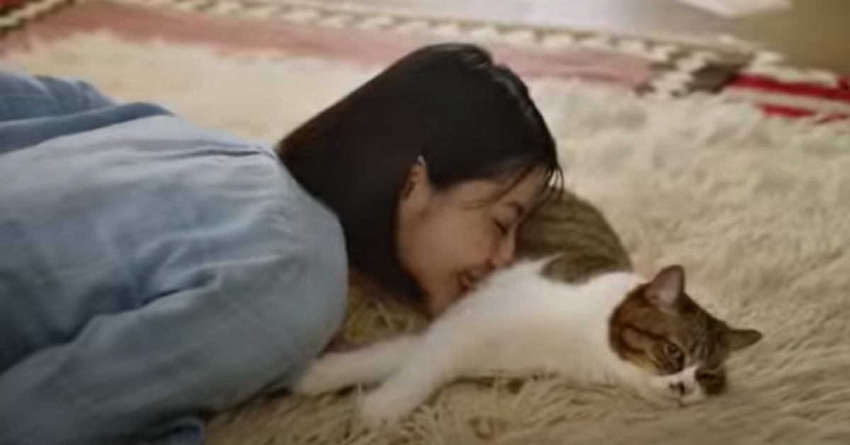 有一種營養補充，叫做大力吸貓 calorie mate liquid、營養補充飲